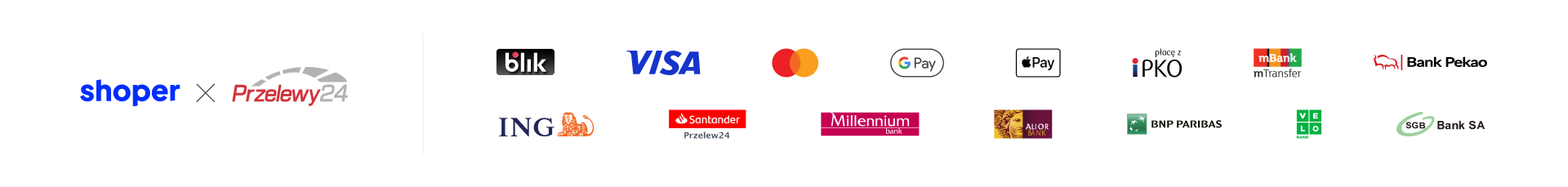 Shoper demo brak logo - strona główna